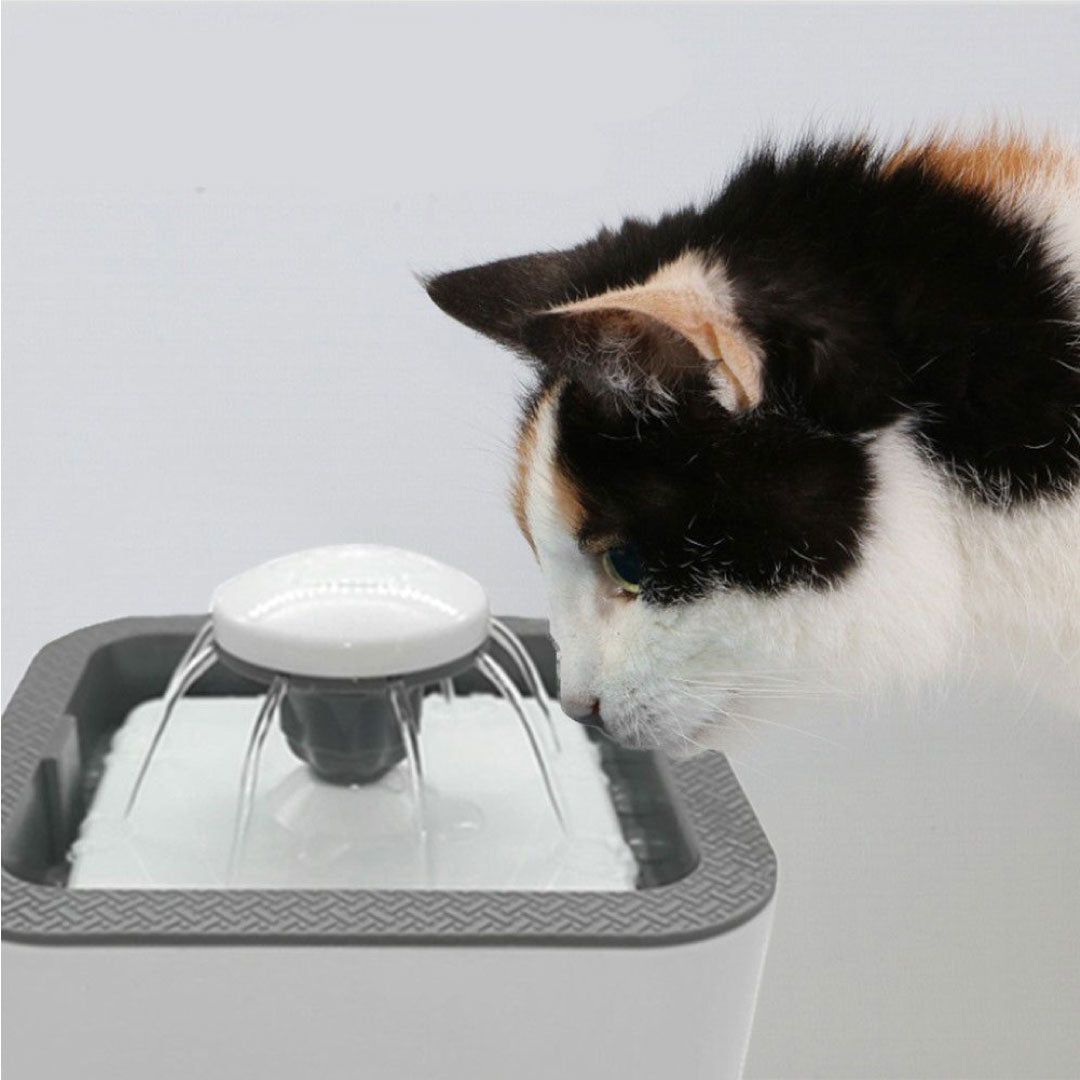 Fuente De Agua Para Mascotas