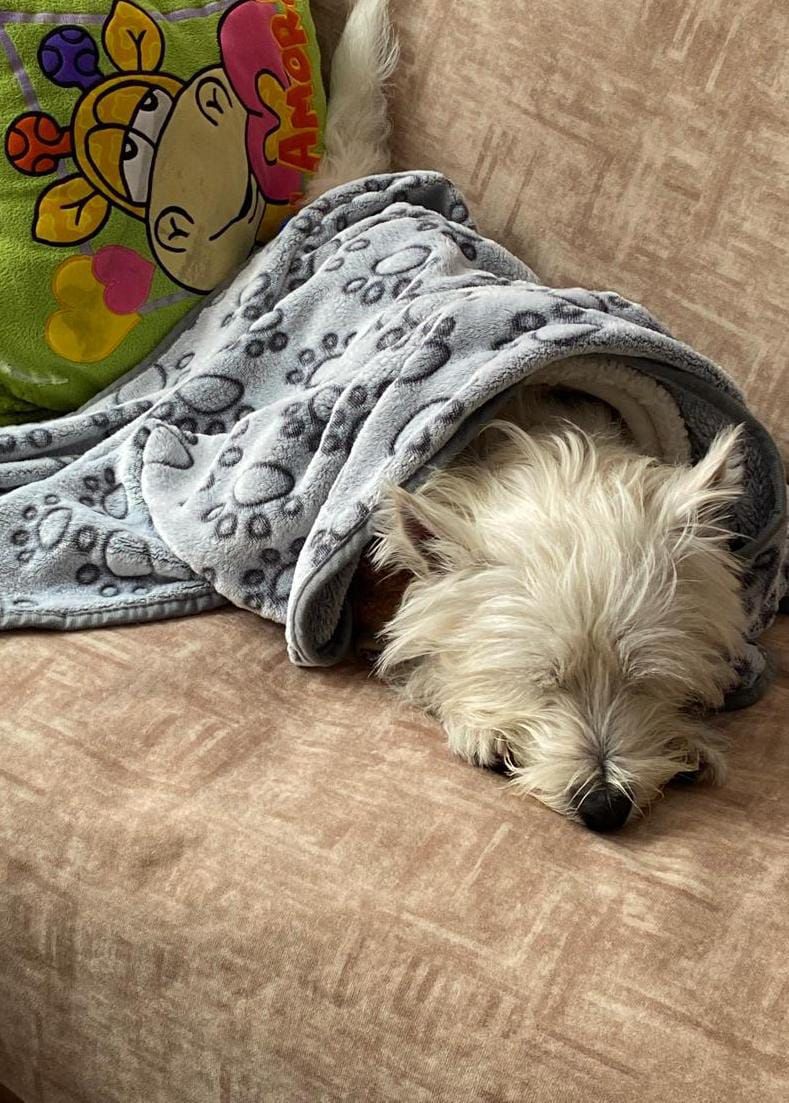 Cobijita suave para mascotas