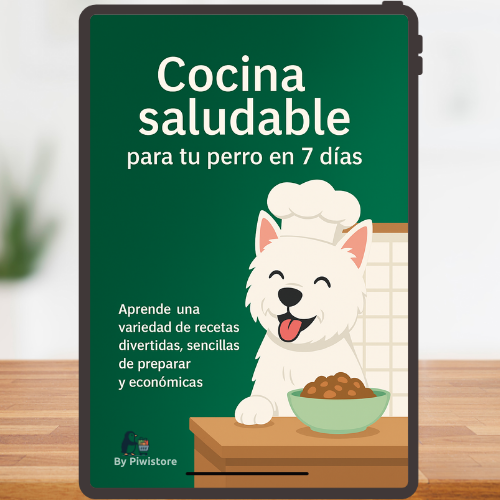 Frisbee Dog O-Soar + Ebook Alimentación Saludable para tu Perro